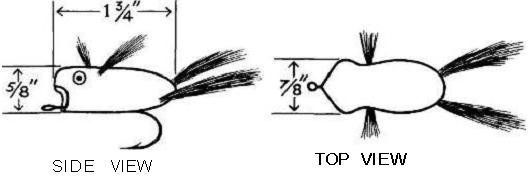 Spin Bugs Resembling Small Frogs Spin Bugs Resembling Small Frogs